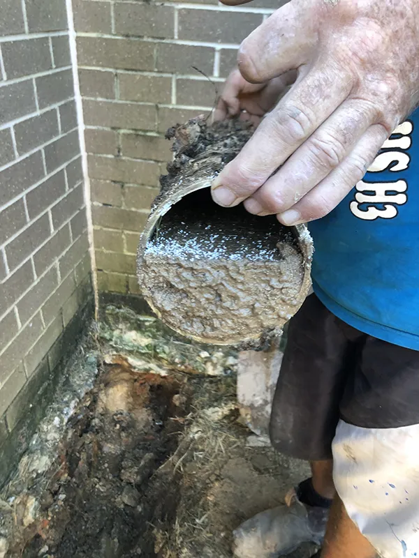 blocked drains central coast